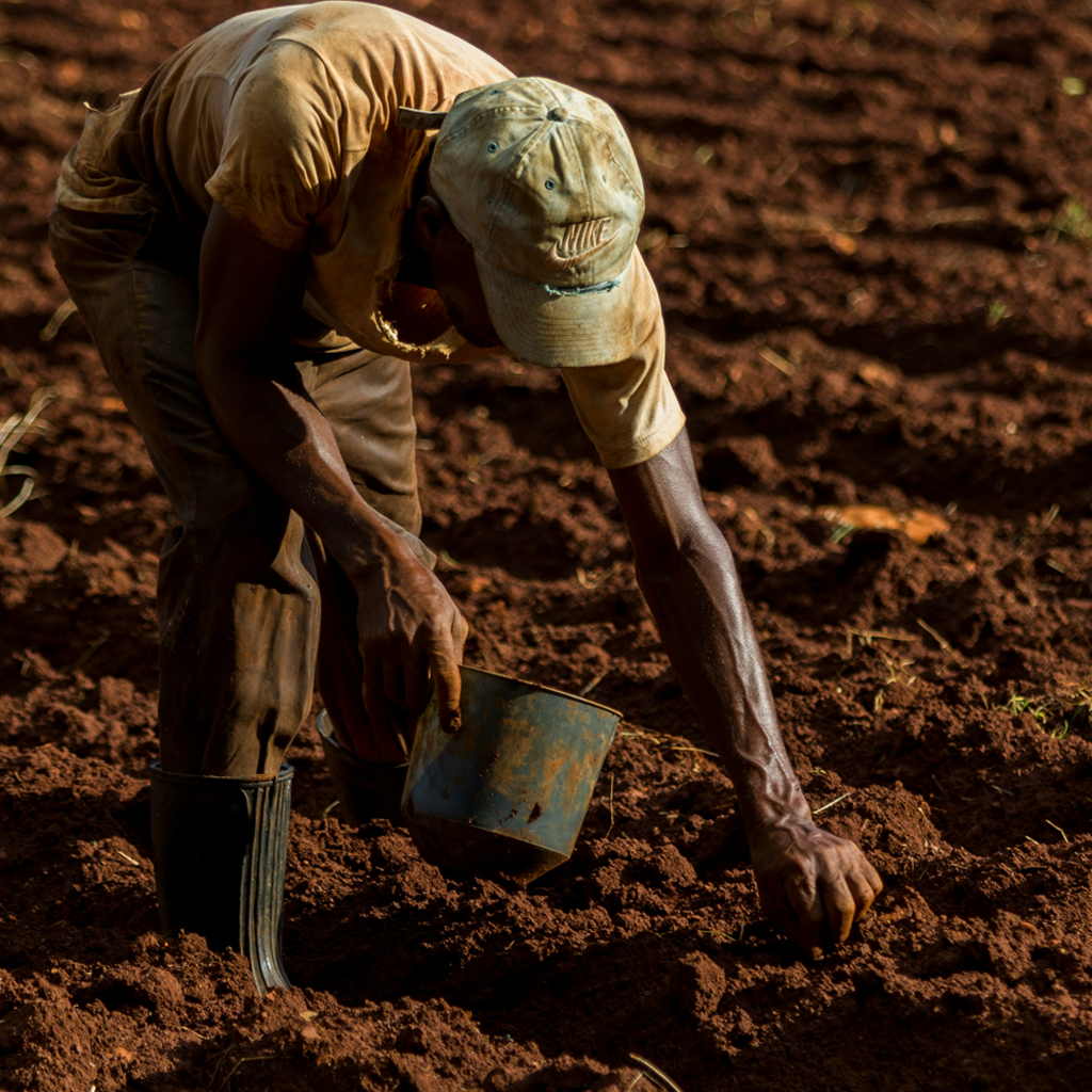 Environmental conservation in Africa