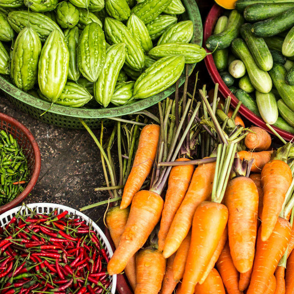 Food Security - African farmers harvesting